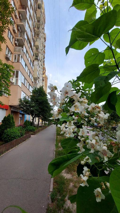 Просторі Апартаменти Kiev Exteriör bild